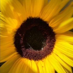 Meet your Posher, Gabi